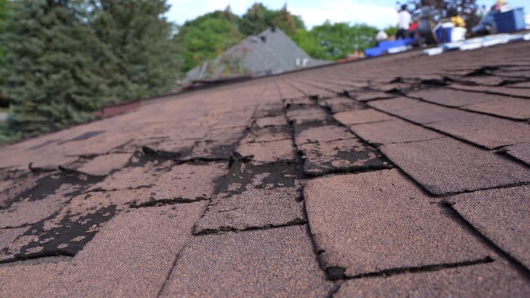 Best Roof Installation  in Monee, IL