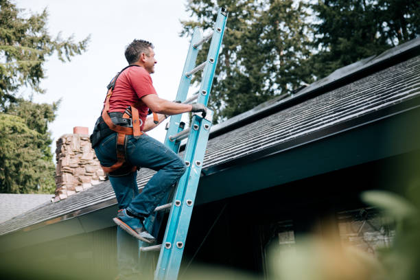 Best Rubber Roofing (EPDM, TPO)  in Monee, IL