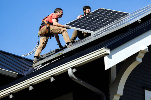 Best Roof Moss and Algae Removal  in Monee, IL