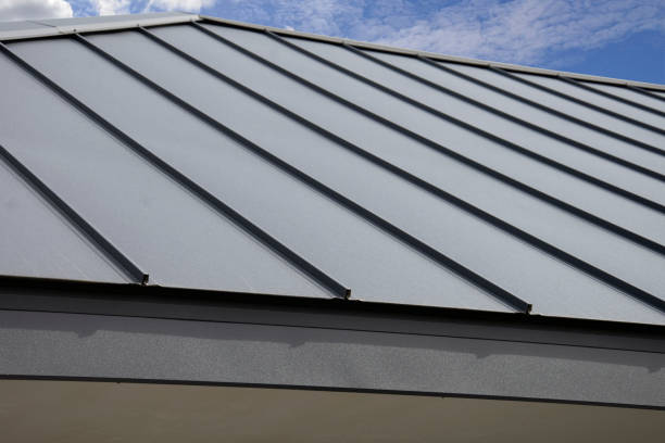 Best Storm Damage Roof Repair  in Monee, IL