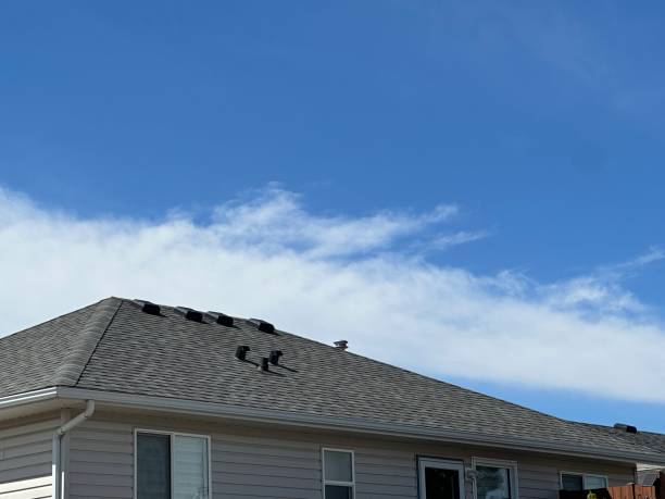 Best Chimney Flashing Repair  in Monee, IL
